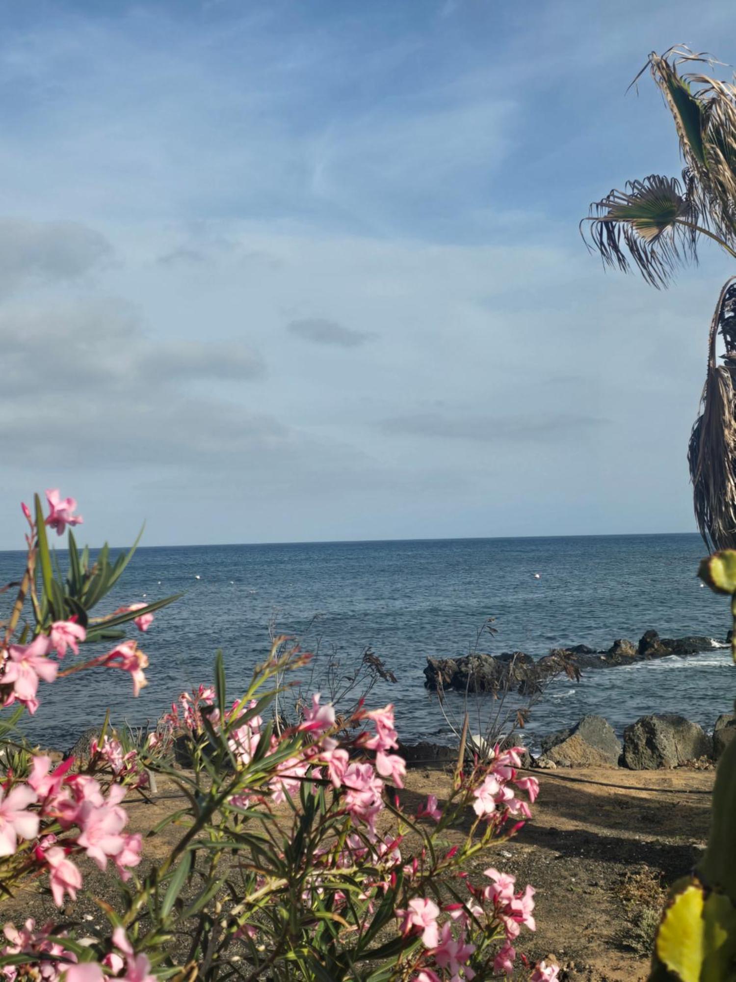 Casa Leiva Villa Punta Mujeres ภายนอก รูปภาพ